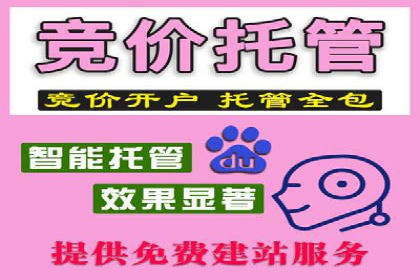 成功案例：sem竞价托管的智慧与策略